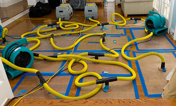 Professional Structural Drying And Dehumidification technician working in Greendale, IN